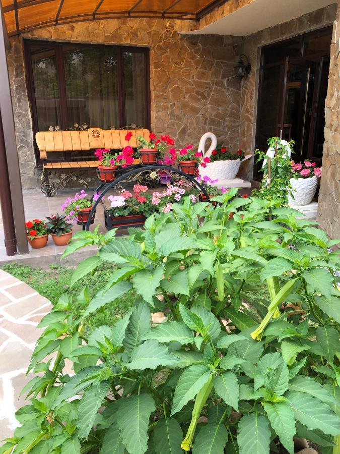 Гостевой Дом Siella Hotel Sukhumi Luaran gambar